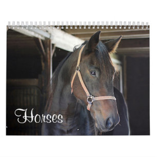 Hästar Kalender