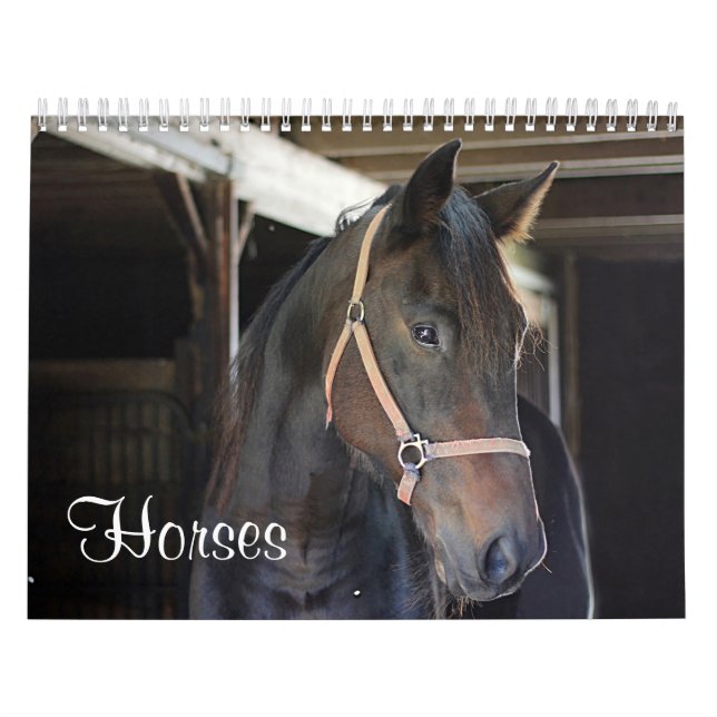 Hästar Kalender (Omslag)
