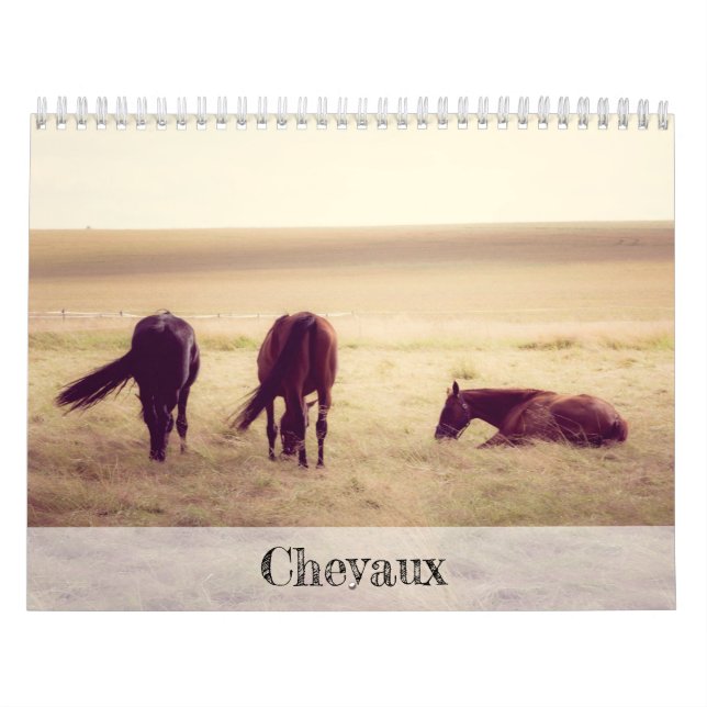 Hästar Kalender (Omslag)