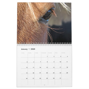 Hästar Kalender