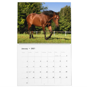 Hästar Kalender