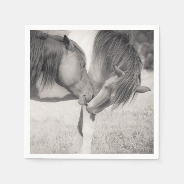 Hästar Kissing Papper Napkins Pappersservett (Framsidan)