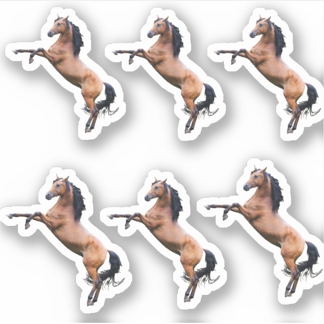 Hästar Klistermärken (Framsida)