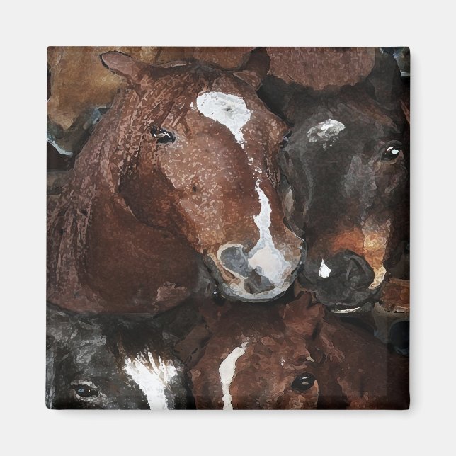 Hästar Magnet (Framsidan)