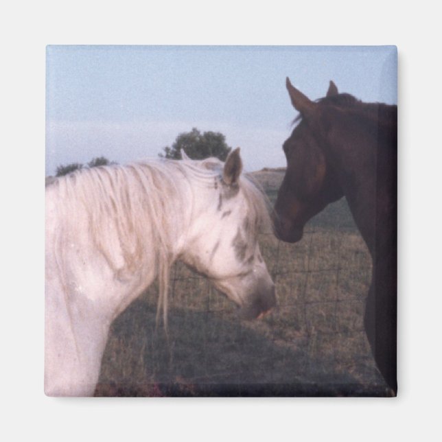 Hästar Magnet (Framsidan)