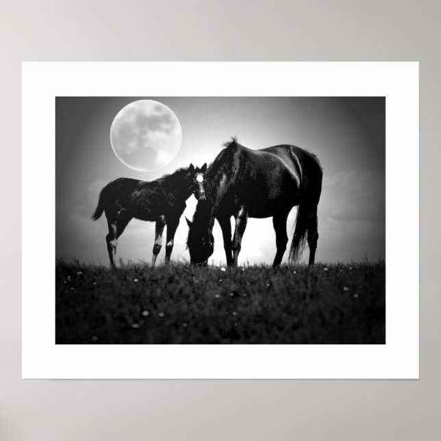 Hästar & Moon Pop Art Fyrkantig Poster Print (Framsidan)