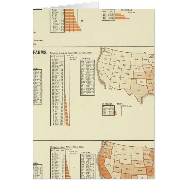 Hästar, mulor, åsna, får hälsningskort (Framsidan)
