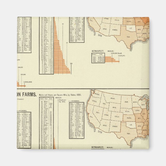 Hästar, mulor, åsna, får magnet (Framsidan)