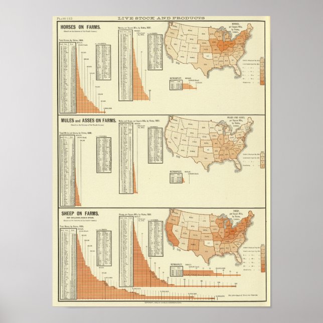 Hästar, mulor, åsna, får poster (Framsidan)