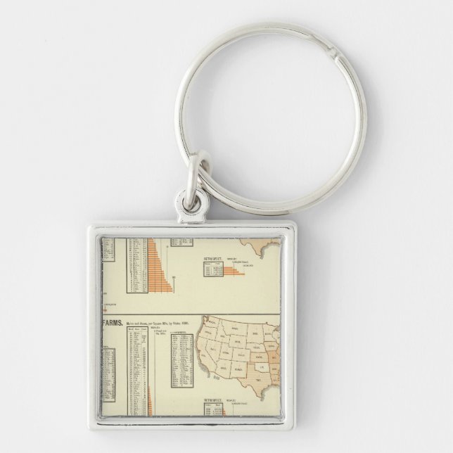 Hästar, mulor, åsnor, får fyrkantig silverfärgad nyckelring (Framsidan)