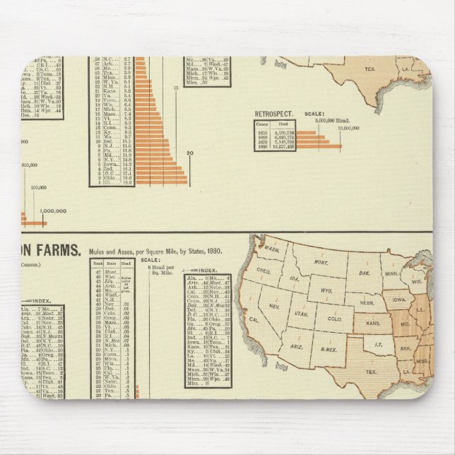 Hästar, mulor, åsnor, får musmatta (Framsidan)