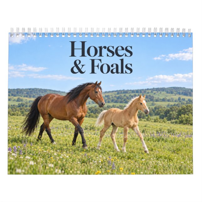 Hästar och föl Vackert landskap Kalender (Omslag)