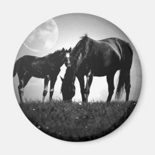 Hästar och Måne Magnet