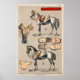 Hästar och sadlar poster