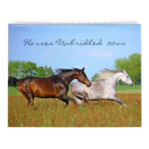 Hästar Okontrollerad Wildlife Photography Anpassat Kalender