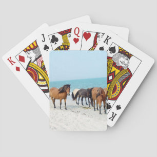 Hästar på Assateague National Seashore Kortlek
