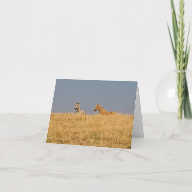 Hästar på backen kort (Framsida)