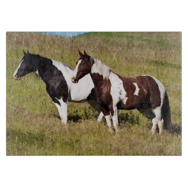 Hästar på bergssluttningen (Framsidan)