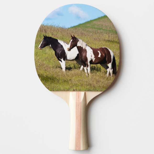 Hästar på bergssluttningen pingisracket (Framsidan)