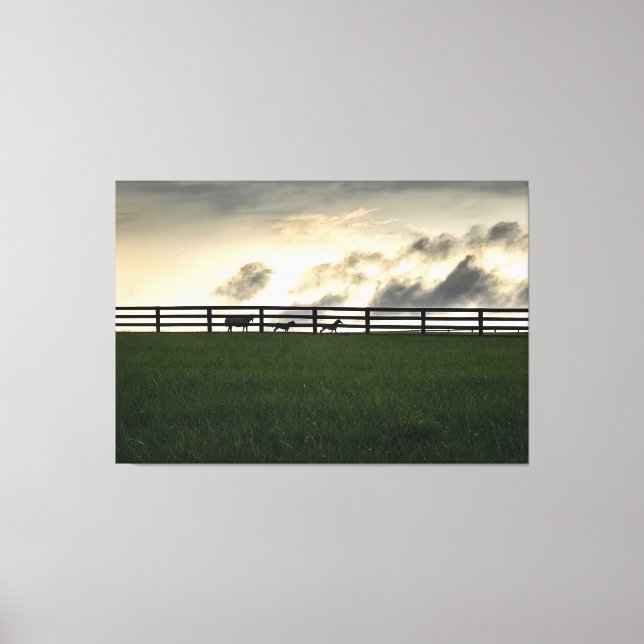 Hästar på betesmark canvastryck (Framsida)