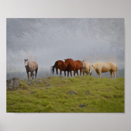Hästar på betesmark poster