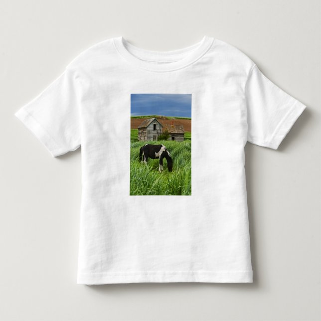 Hästar på ett fält i Palouse 2 Tröja (Framsida)