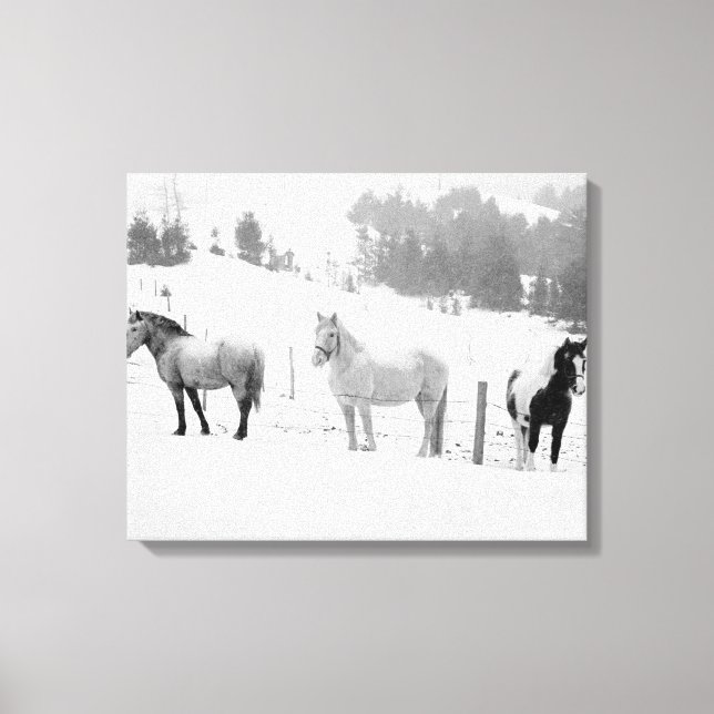 Hästar på Ranch Canvastryck (Framsida)