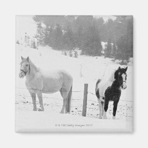Hästar på ranch magnet