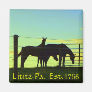 Hästar på solnedgången i Lititz Pa. Magnet