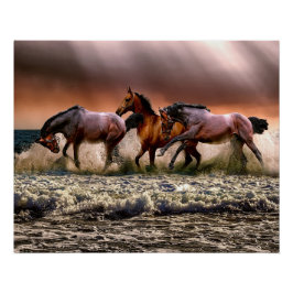 Hästar på stranden perfect poster