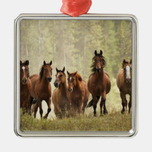 Hästar på toppen av en liten kulle under en boskap julgransprydnad metall