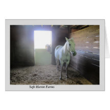 Hästar på vilar på säkra tillflyktsortlantgårdar