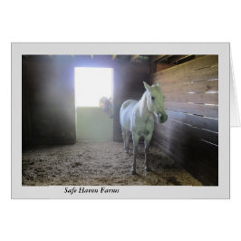 Hästar på vilar på säkra tillflyktsortlantgårdar hälsningskort