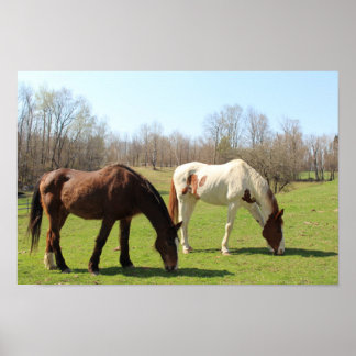 Hästar Poster