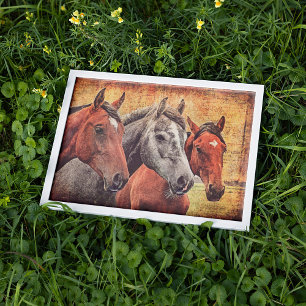 Hästar Poster för avsvärtning eller kollage papper