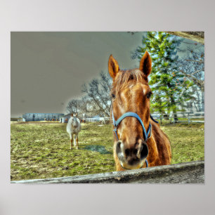 Hästar Rustic Land Western Equestrian Farm Poster