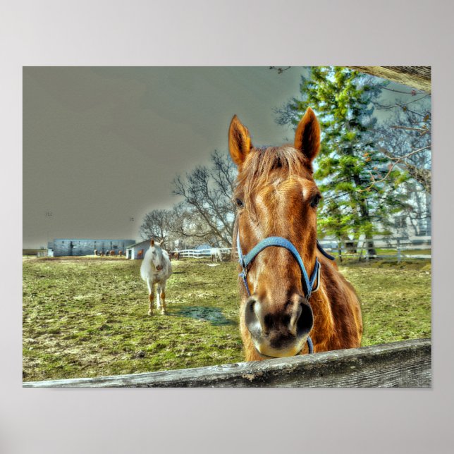 Hästar Rustic Land Western Equestrian Farm Poster (Framsidan)
