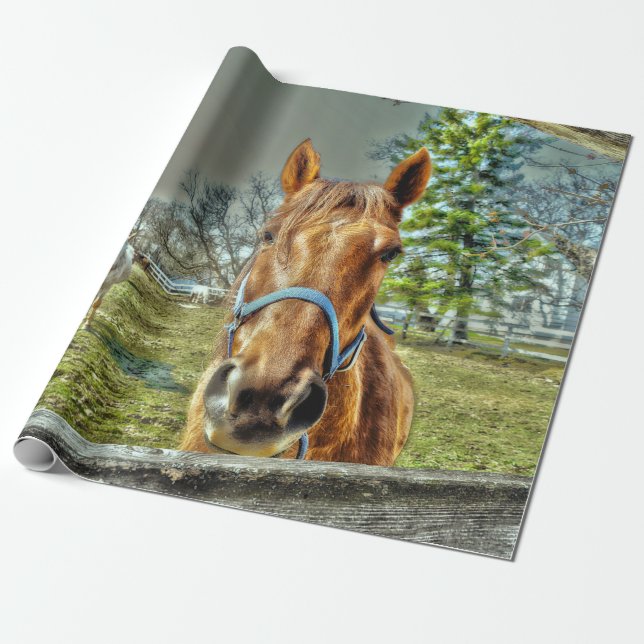 Hästar Rustic Land Western Farm Decoupage Presentpapper (Utrullad)