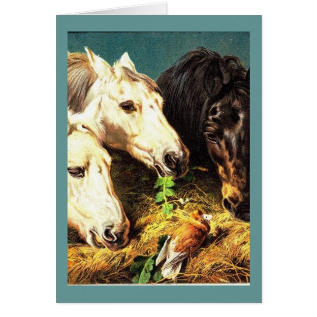 Hästar som äter hö hälsningskort (Framsidan)