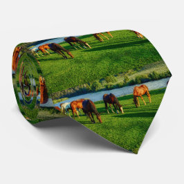 Hästar som betar nära en flod slips