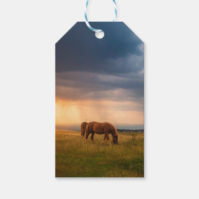 Hästar som betar på stormdag presentetikett (Framsidan)