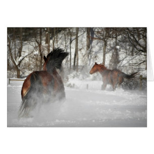 Hästar som går i Anpassadet Snö OBS Kort