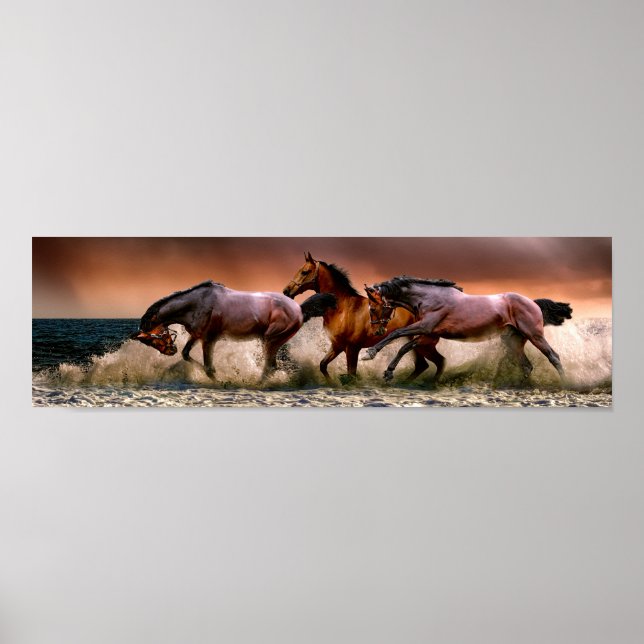 Hästar som går i Surfan Poster (Framsidan)