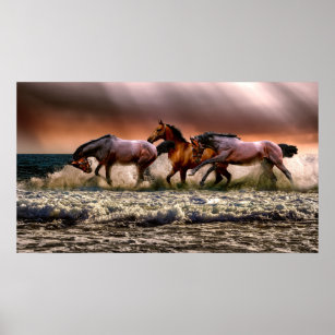 Hästar som går i Surfan Poster