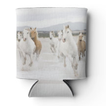 Hästar som går på stranden