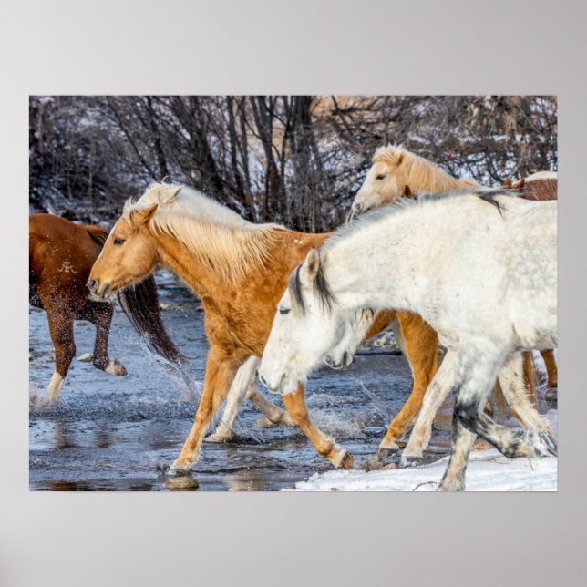 Hästar som korsar strömmen poster (Framsidan)