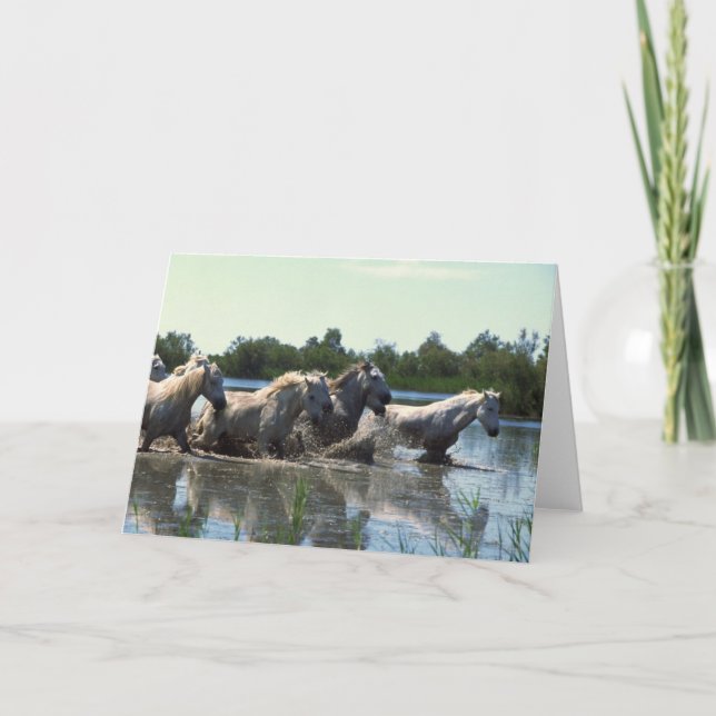 Hästar som korsar Vatten Kort (Framsida)