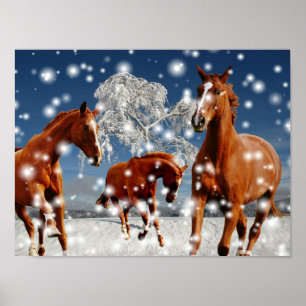 Hästar som leker i snö poster