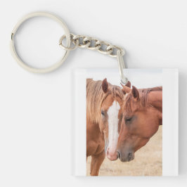 Hästar som nosar i en betesmark