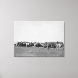 Hästar som rundas upp av Cowboys, fotograferar Canvastryck
